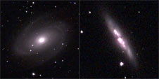 Bode Galaxien M81 und M82